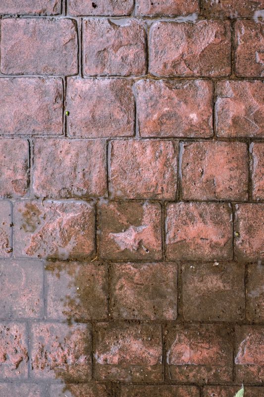 Decorative Concrete Repair in West Palm Beach, FL